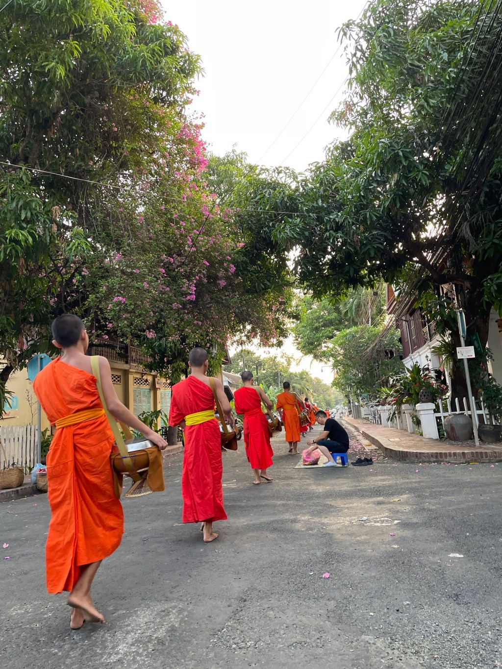ルアンパバーン名物、托鉢と朝市